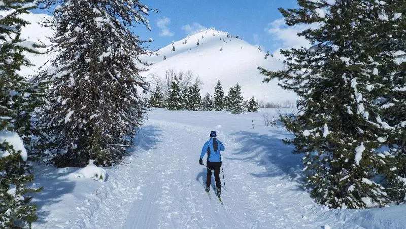 Stardust Motel Wallace