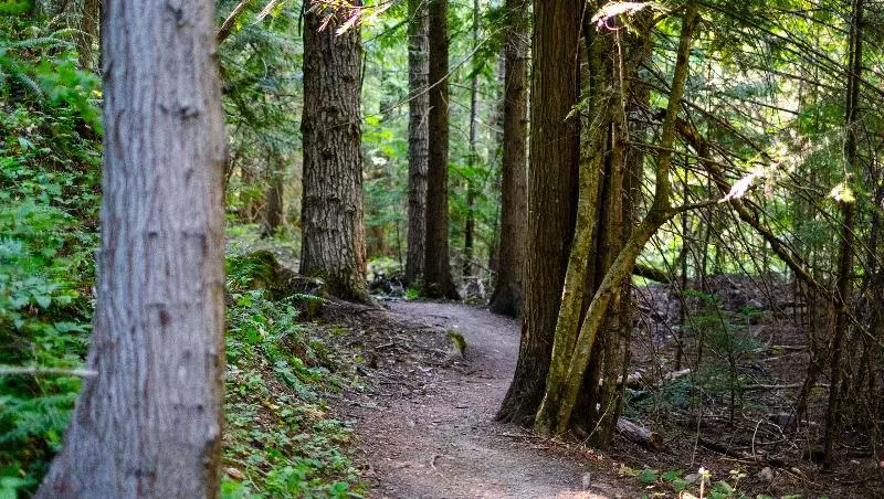 Stardust Motel Wallace