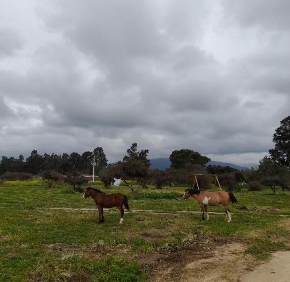 Hotel Eco Parcela La Chacra