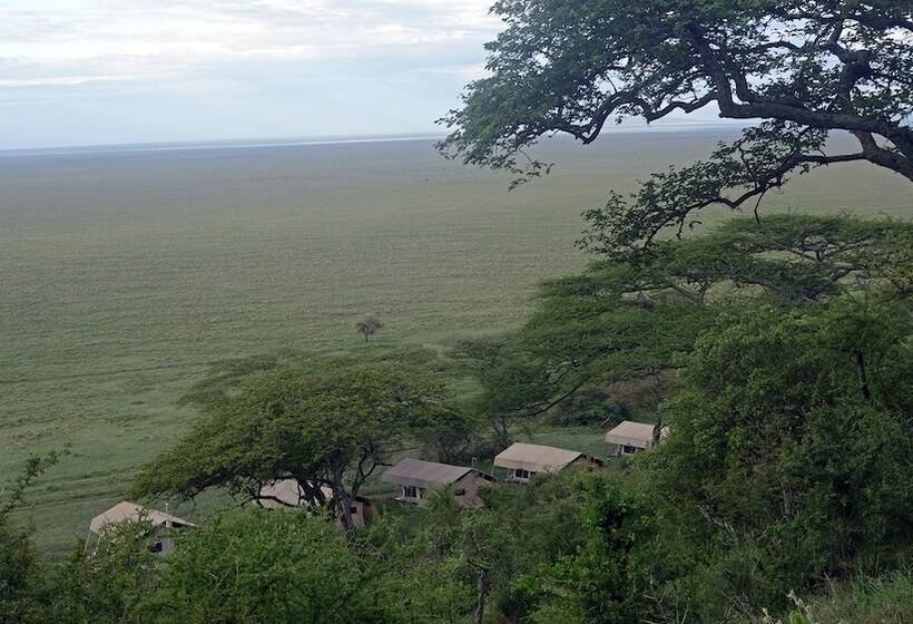 Отель Matembezi Safari Lodge