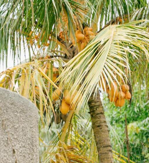 Saipan Emerald Villa