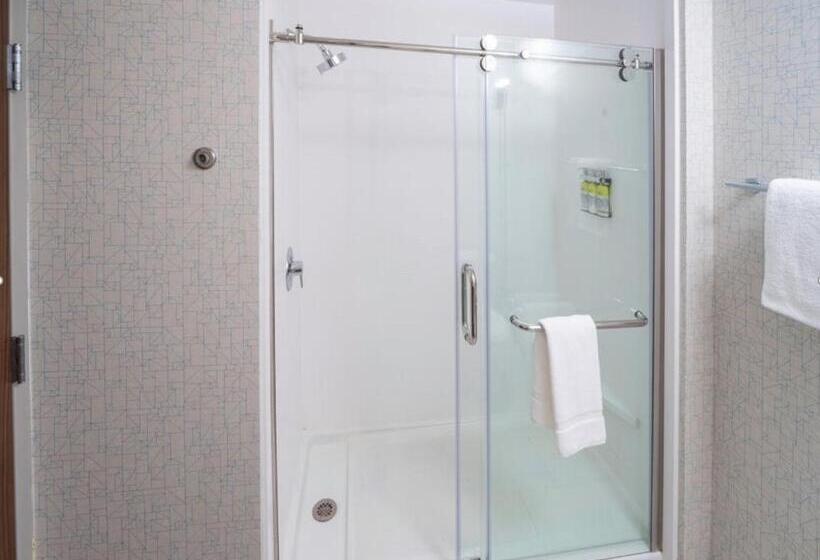 فندق Holiday Inn Express   Brevard, An Ihg