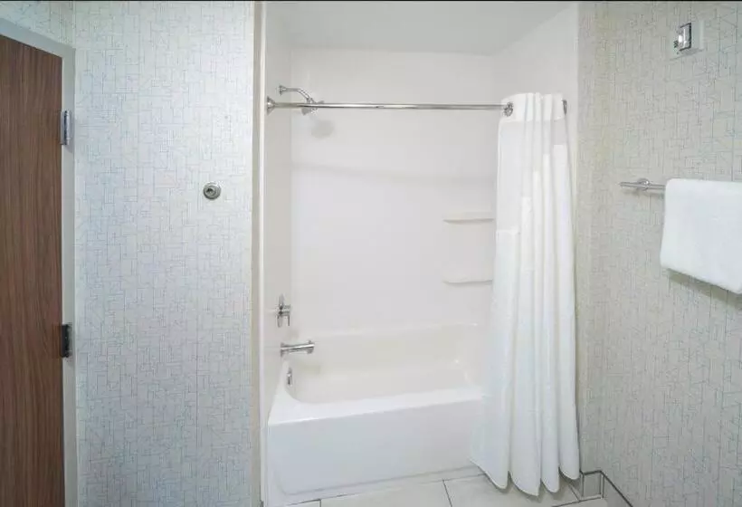 ホテル Holiday Inn Express   Brevard, An Ihg