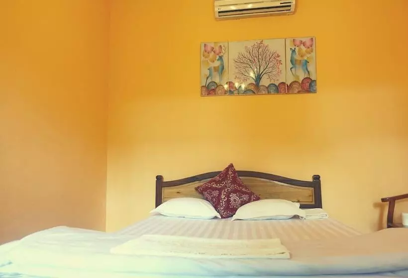 Ha Giang Discovery Hostel