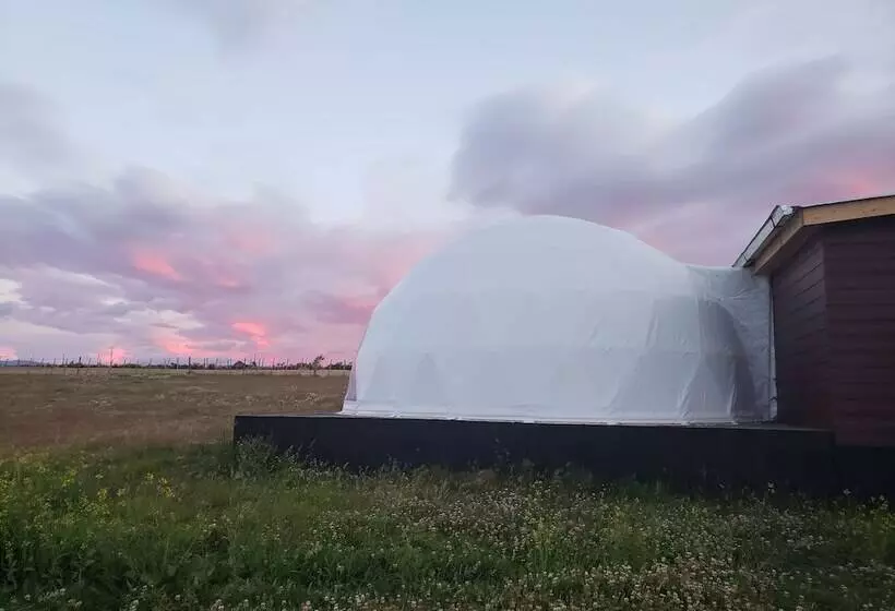 Hotelli Garden Domes