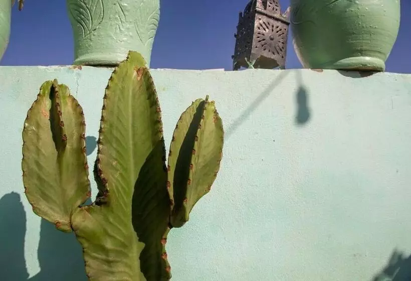 Aamiaismajoitus (B&B) Amayour Surf Hostel