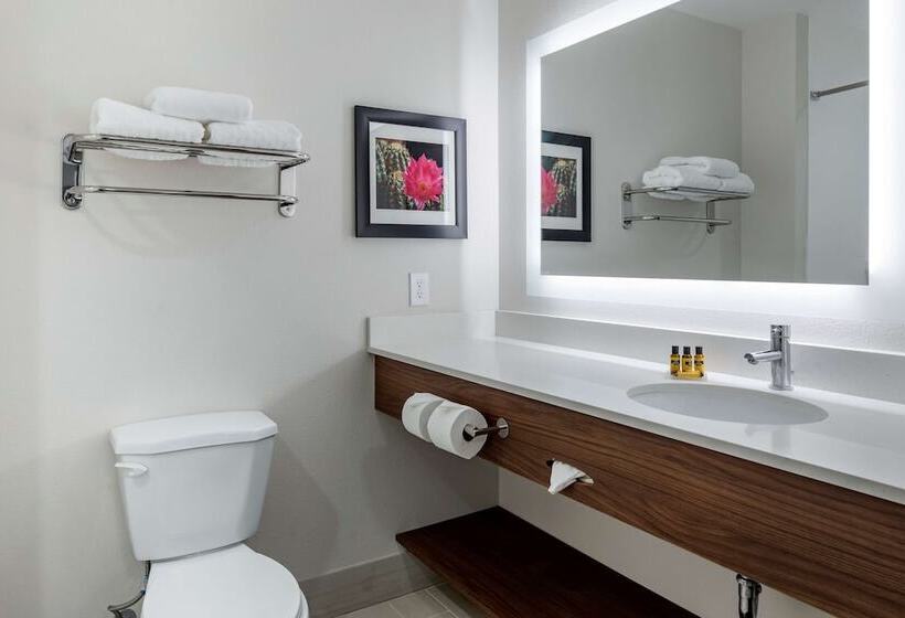 ホテル Best Western Plus Desert View Inn & Suites