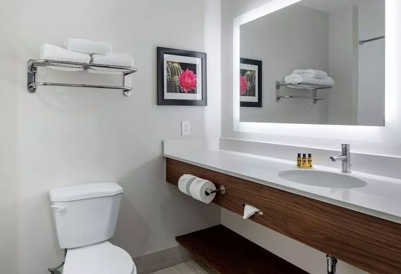 ホテル Best Western Plus Desert View Inn & Suites