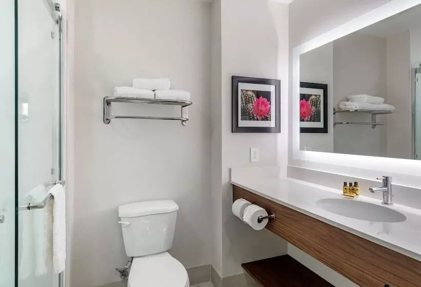 ホテル Best Western Plus Desert View Inn & Suites
