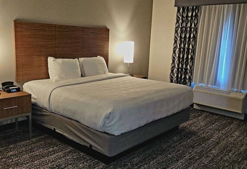 ホテル Best Western Plus Desert View Inn & Suites