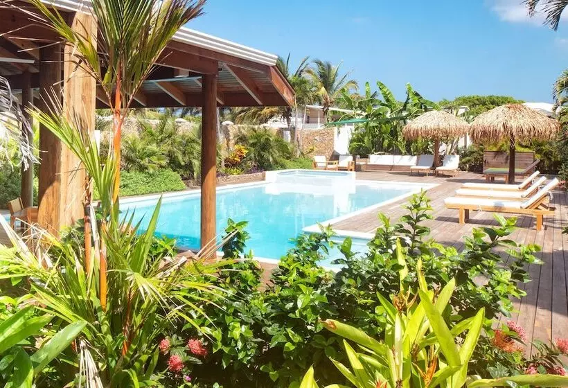هتل Naboo Resort & Dive Center Adults Only