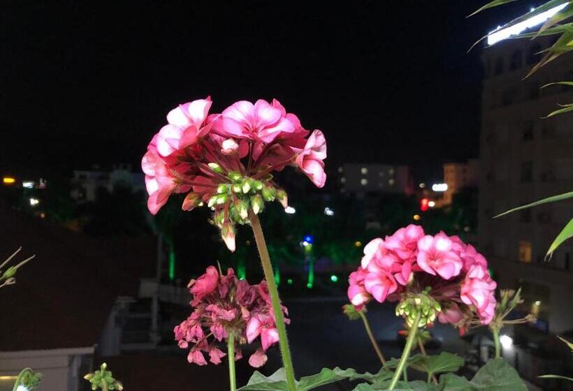 هتل Babylon Ha Long