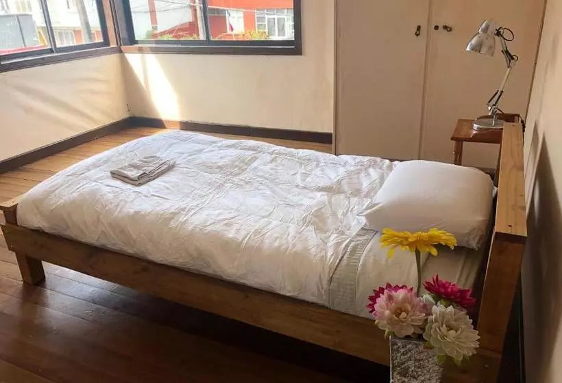 カプセルホテル Hostal Newen Osorno
