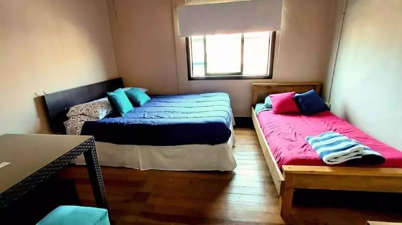 カプセルホテル Hostal Newen Osorno