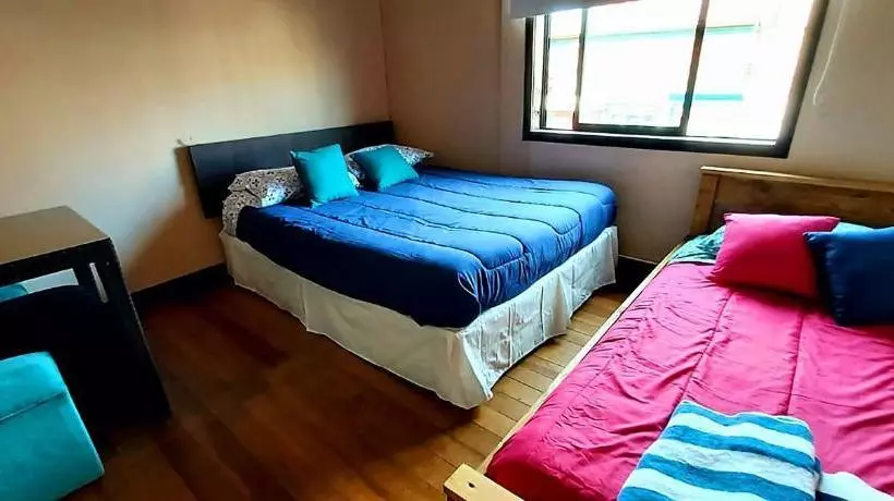 カプセルホテル Hostal Newen Osorno