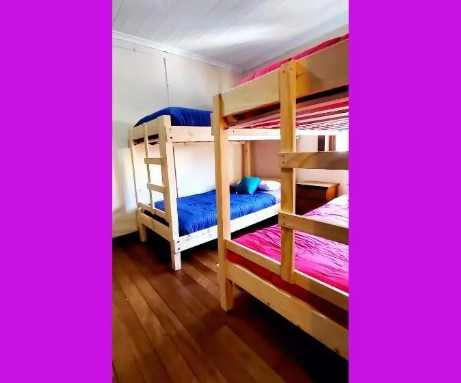 カプセルホテル Hostal Newen Osorno