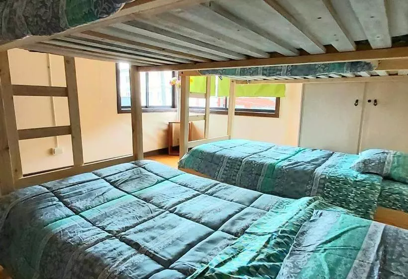カプセルホテル Hostal Newen Osorno