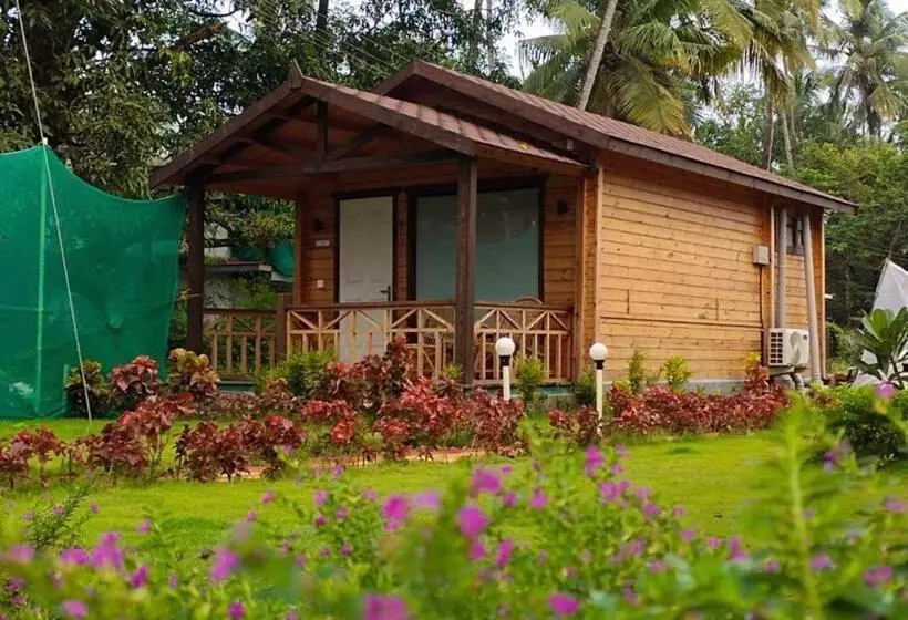 ホテル Golden Sands Resort, Morjim