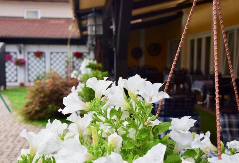 בית מלון כפרי Gasthof Kasperle