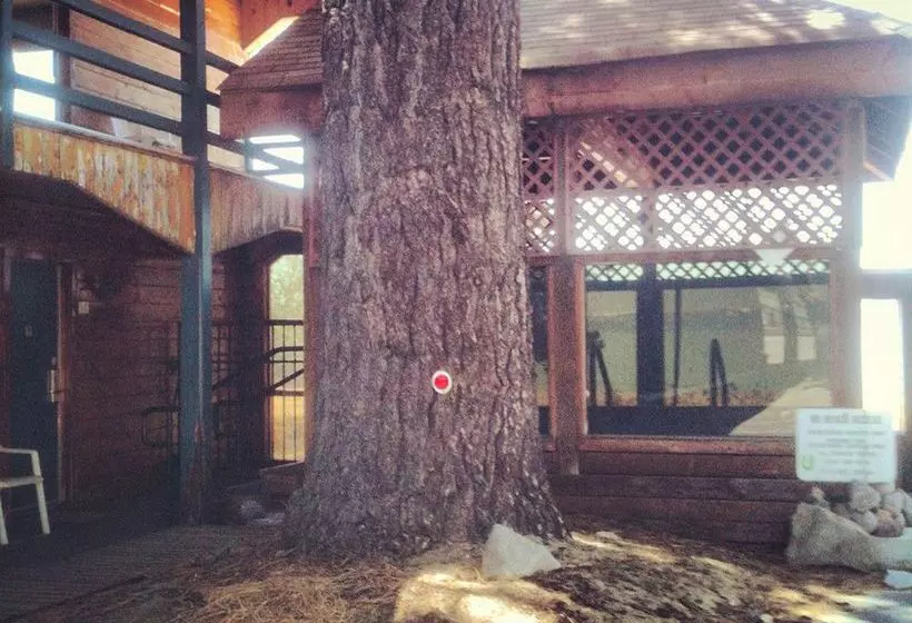 Hotelli Sun 'N' Sand Lodge