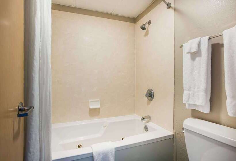 فندق Super 8 By Wyndham Sevierville Riverside