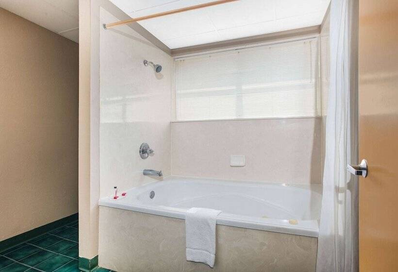 فندق Super 8 By Wyndham Sevierville Riverside