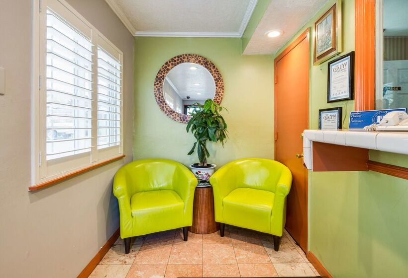 汽车旅馆  Americas Best Value Inn Richmond