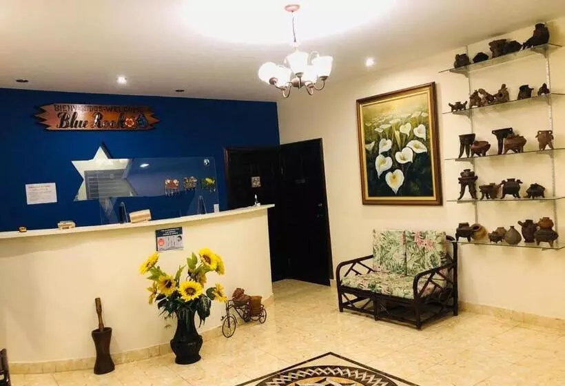 ペンション Bluerock Hostal