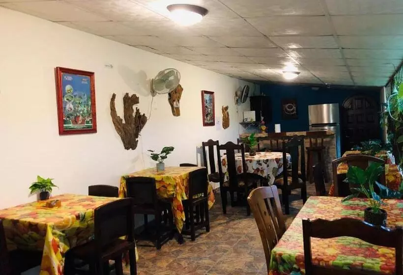 ペンション Bluerock Hostal