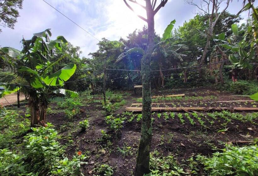 펜션 Granja Los Campesinos