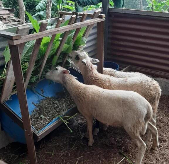 펜션 Granja Los Campesinos