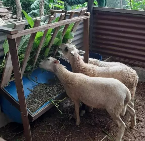 ペンション Granja Los Campesinos
