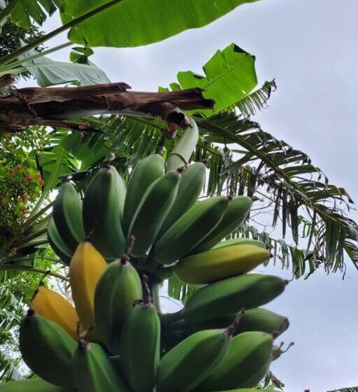 펜션 Granja Los Campesinos