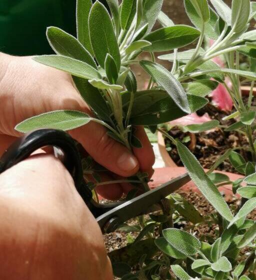 펜션 Granja Los Campesinos