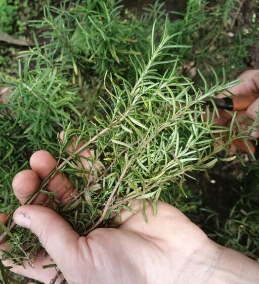 펜션 Granja Los Campesinos