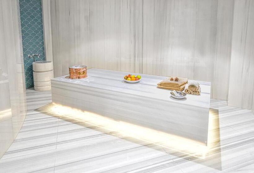 هتل Ankara Alegria Business