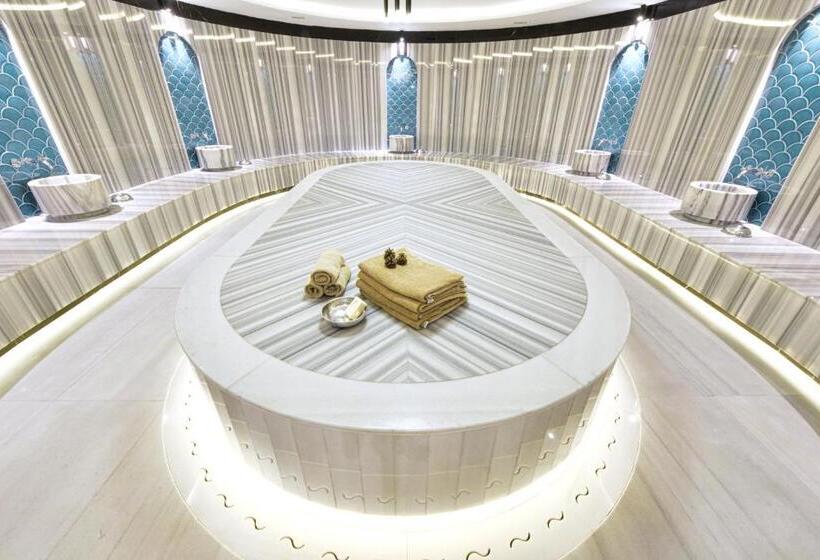 هتل Ankara Alegria Business