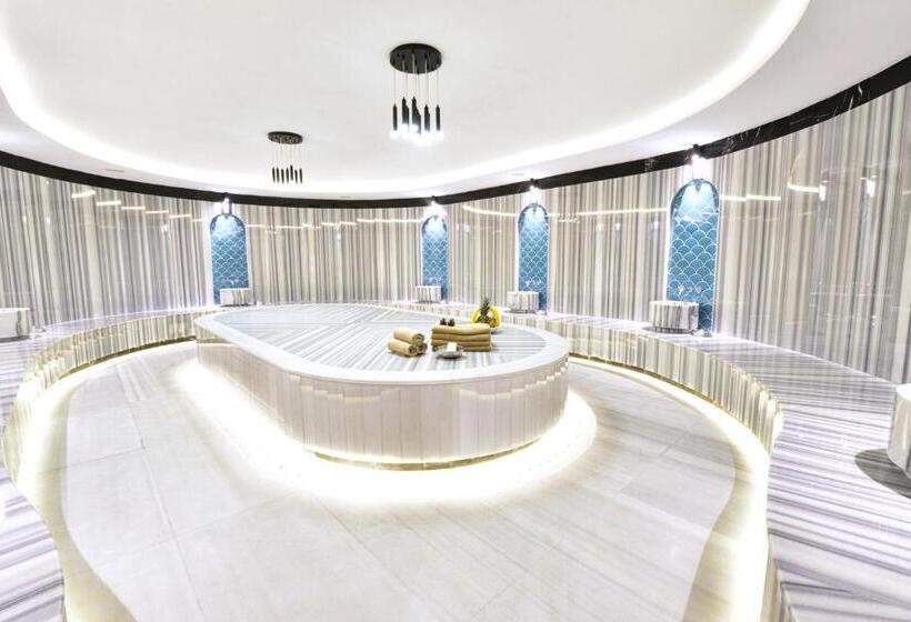 هتل Ankara Alegria Business