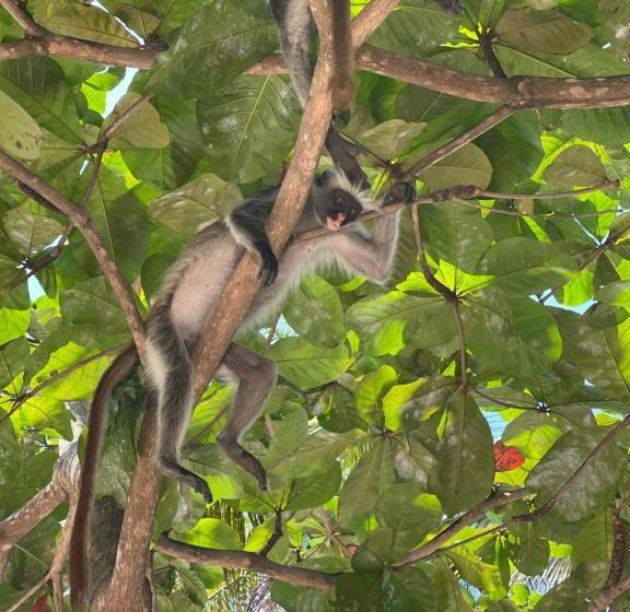 Albergue Your Zanzibar Place