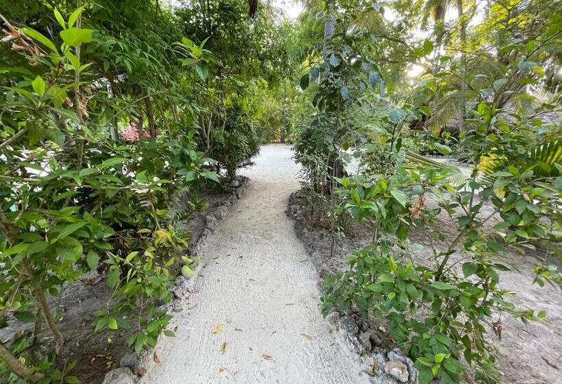 Albergue Your Zanzibar Place