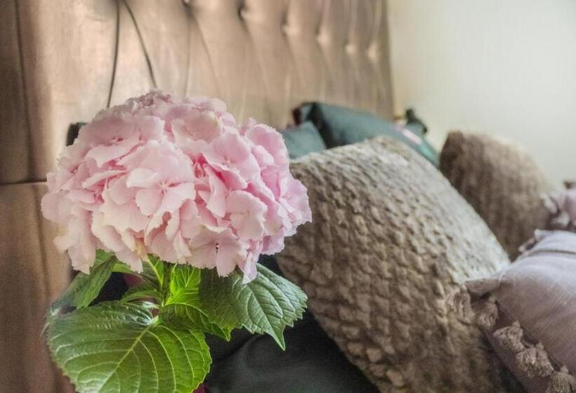 بنسيون Casa Perla