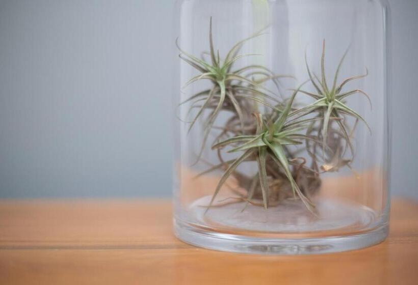 膳宿费 The Lookout Guest House