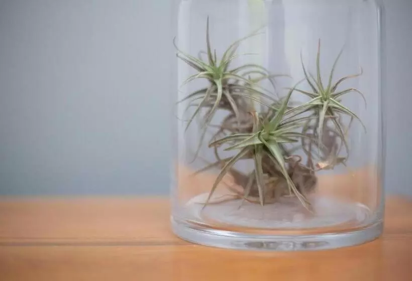 Majatalo The Lookout Guest House