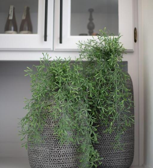 膳宿费 The Lookout Guest House