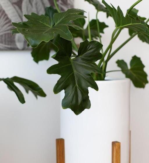 膳宿费 The Lookout Guest House