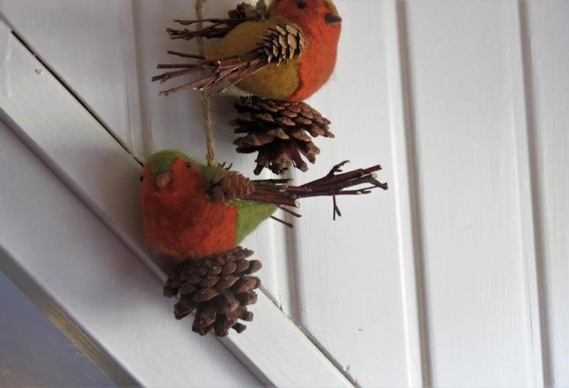 Bed and Breakfast Villa Zomerdijk