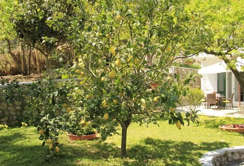 Casa Augusto B&b