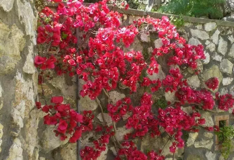 Casa Augusto B&b