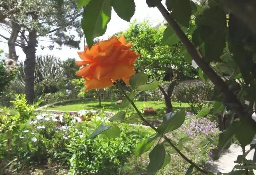 Casa Augusto B&b