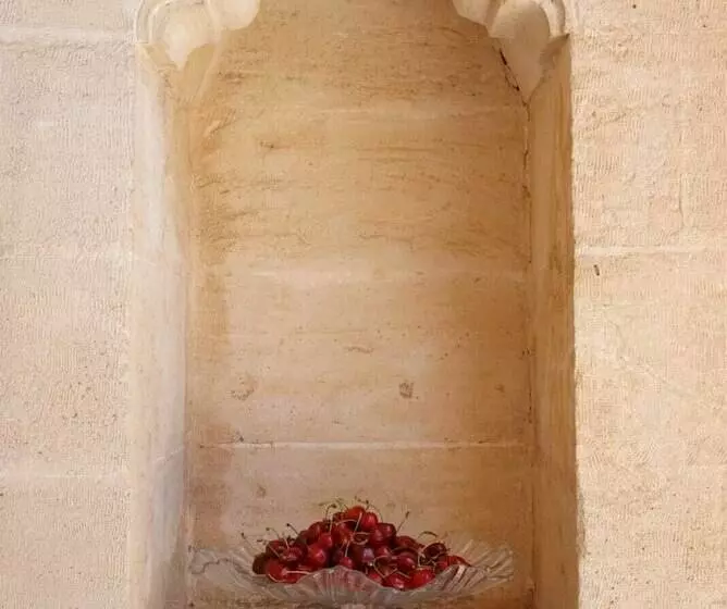 هتل Artuklu Universitesi Sahtana Konagi